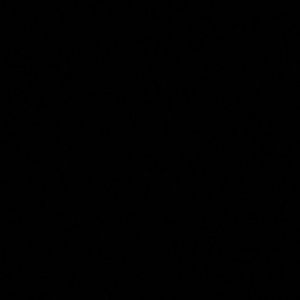 Meet your Posher, Saad